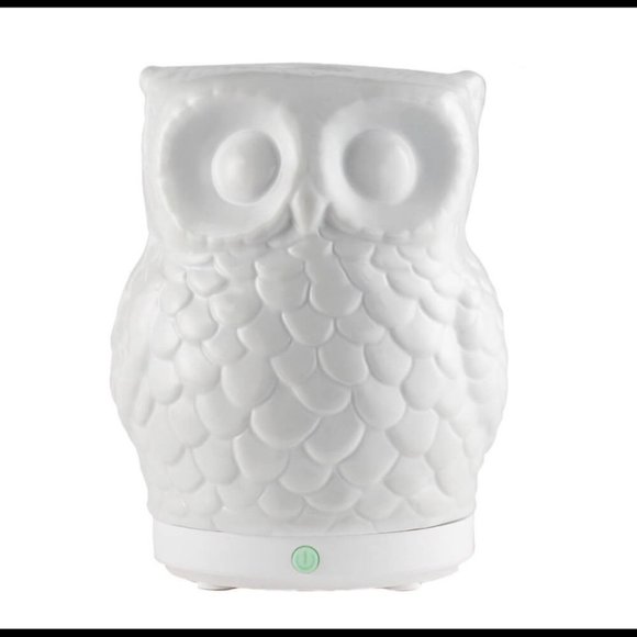 Mister Hoot Owl Essential Oil Diffuser - Picture 2 of 3